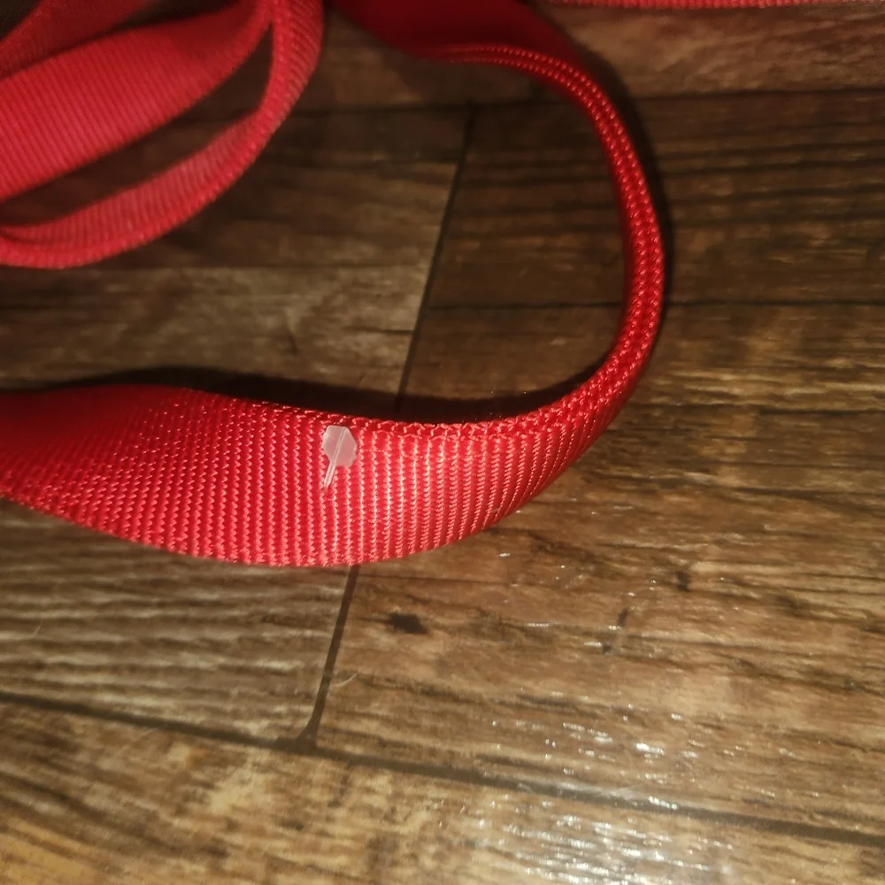 2-LEASHES COASTAL PET 6' HEAVY DUTY NYLON & CORDED / BRAIDED DOG LEASHES